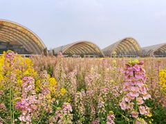 -中国天府农业博览园