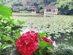 -杭州植物园