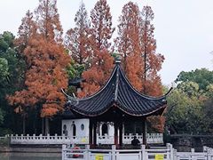 -秋霞圃