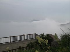 -白草畔自然风景区