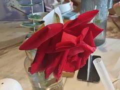 -桃花江餐厅·江景-约会·聚会