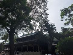 -晋祠公园