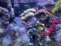 -郑州海洋馆