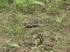 -长春市南湖公园