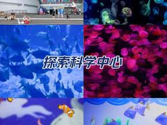 -烟台海昌鲸鲨海洋公园