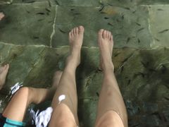 -兴芮温泉度假区