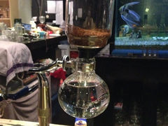 虹吸壶咖啡-Strawberry Butterfly草莓蝴蝶日式水果挞