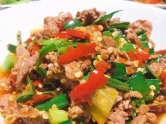 泡辣椒炒牛肉-壹盏灯(蚂蚁工房店)