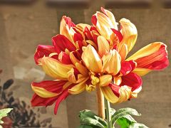 -共青国家森林公园-售票处