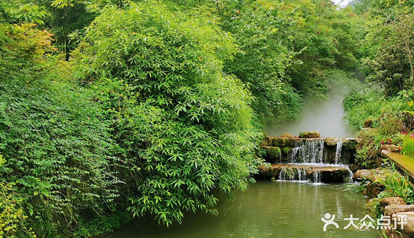 闯入熊猫🐼睡眠王国？[害羞]