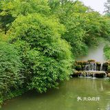 闯入熊猫🐼睡眠王国？[害羞]