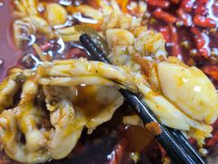 -重庆何乌鱼(南湖逸家店)