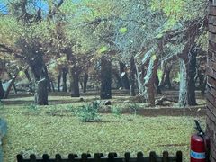 -逃脱反斗城沉浸剧情密室(北京路店)