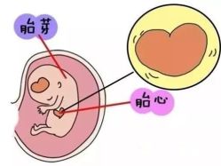 -邢台妇产医院