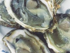 -春华海鲜城(广场西苑店)