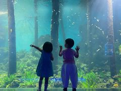 -石家庄海洋公园