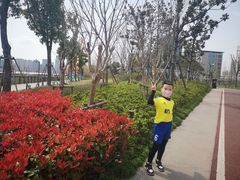 -北外滩滨江绿地