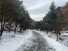-少华山国家森林公园