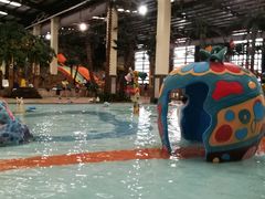 -南宫温泉水世界