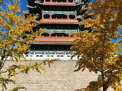 -永定河休闲森林公园