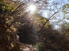 -北京密云天门山风景区