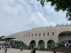 -自贡恐龙博物馆