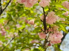 -上海市保健医疗中心