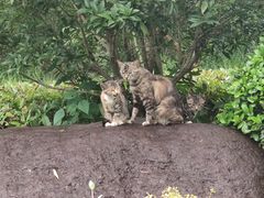 -昆山城市生态森林公园