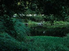 -杭州植物园