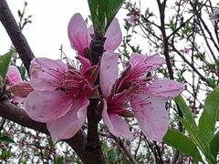 -汉长安城未央宫国家考古遗址公园