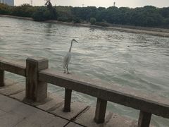 -默迹咖啡馆