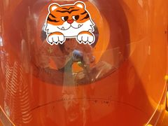 -Tenker Club弹刻极限主题公园 · 蹦床 · 团建 · 生日派对(大关店)