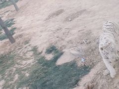 -太原动物园