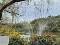 -杭州野生动物世界