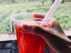 -野蔓果·山野菜(西湖景区·龙井茶田店)