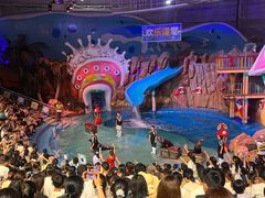 -烟台海昌鲸鲨海洋公园
