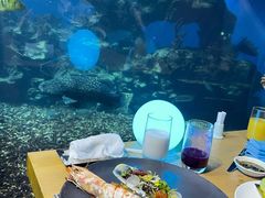 -海棠湾洲际-涛·海底餐厅·美人鱼·自助餐·海底隧道