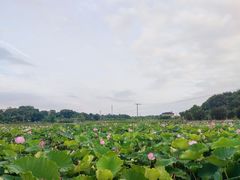 -象山森林公园