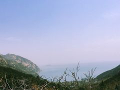 -青岛景园假日酒店-自助餐厅(城阳店)
