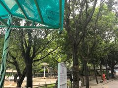 -深圳野生动物园