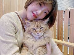 -藏猫猫咖啡主题馆(中央大道店)