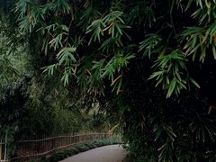 -新虹桥中心花园