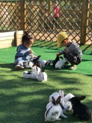 -萌宠亲子动物乐园(槐房万达店)