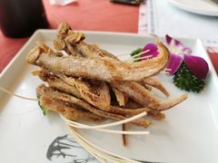 初恋小刀鱼-赵小姐丨新中餐(曲江店)