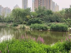 -南翠屏公园