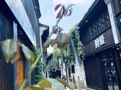 -嘉兴月河历史街区