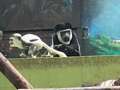 -石家庄市动物园