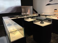 -BLACKSWAN黑天鹅(环球店)