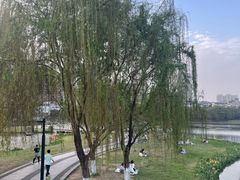 -南宁南湖公园