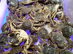 -诱货海鲜自助火锅(爱琴海购物公园东百店)
